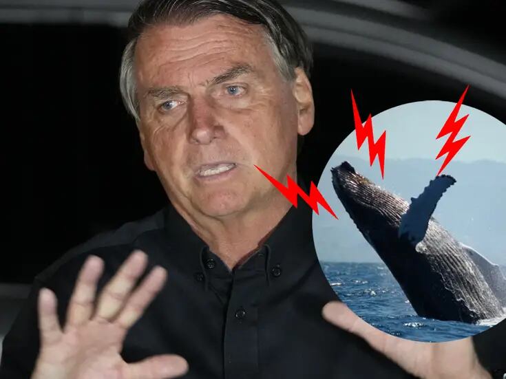 ¿Molestó a una ballena? Jair Bolsonaro es requerido por la Policía de Brasil por un inusual motivo