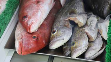 Pescaderías reportan ventas bajas en Semana Santa