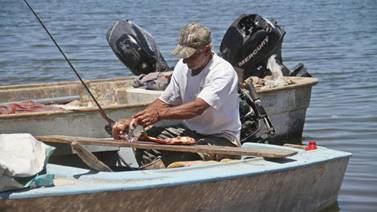 Se "esconde" tilapia de pescadores en la presa Álvaro Obregón