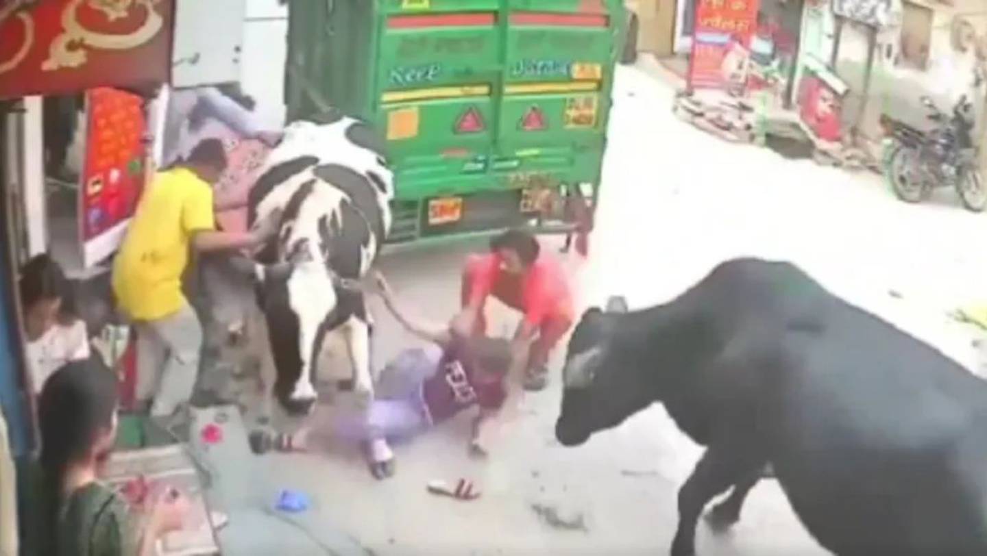 VIRAL: vacas embisten a dos niñas que se encontraban platicando afuera de un local en India