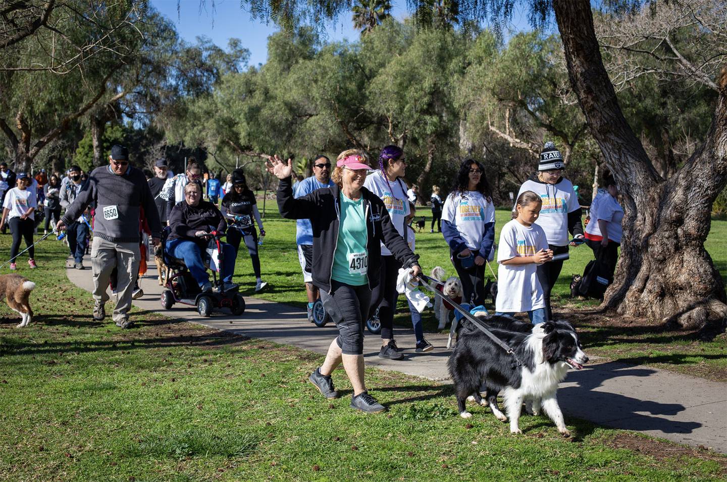La caminata es el próximo 16 de marzo en el parque Kit Carson ubicado en el área de Escondido al Norte del condado de San Diego.