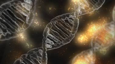 El Ácido Desoxirribonucleico (ADN): ¿Cuál es su función y su importancia científica?