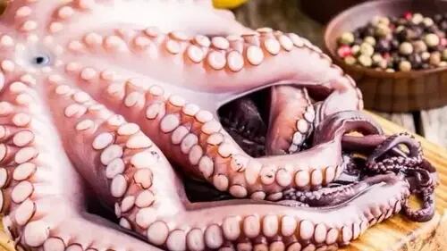 VIRAL: Mujer descubre extrañas características de un “pulpo” que resultó ser un calamar Humboldt