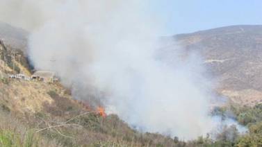 Fuego consume árboles en Cañón de doña Petra
