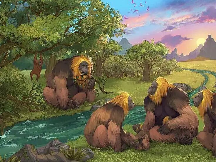 Gigantopiteco: por qué se extinguió el mayor simio de todos los tiempos