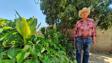 Hermosillo: El señor Manuel cuida con amor el jardín de su difunta esposa