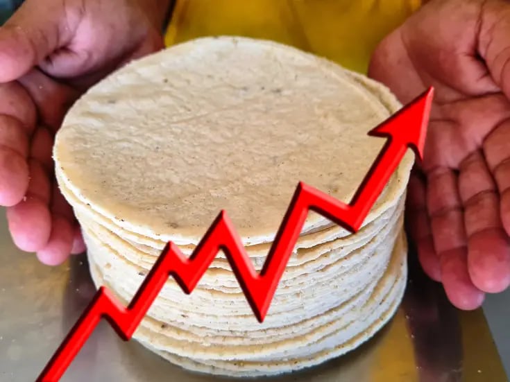 ¿Por qué la tortilla subirá de precio en México? CNT lo explica