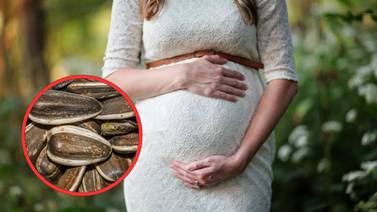 Las semillas de girasol ayudan a prevenir problemas durante el embarazo