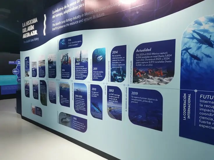 Museo Caracol inaugurará exposición sobre el atún aleta azul