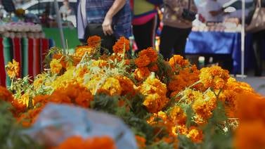 A pesar de los vientos Santa Ana vendedores están listos para ofrecer flores de cempasúchil