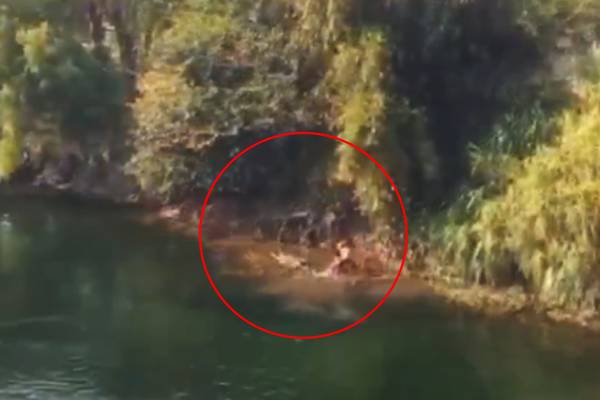 VIDEO: Familia muere ahogada en río de Chiapas durante descanso de Semana Santa
