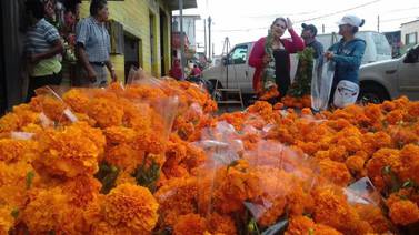 Comienza la venta de flores de cempasúchil