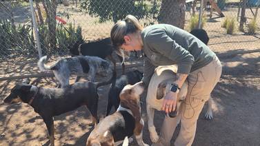 Hermosillo: Hacienda de los Perros tiene un equipo ¡De cuatro patas!