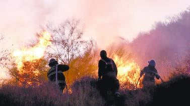 Resurge incendio en basurero clandestino, bomberos luchan por sofocarlo