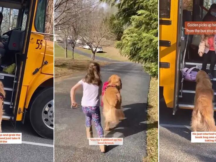 VIDEO: Perrito recoge a una niña de la escuela todos los días y se vuelve viral