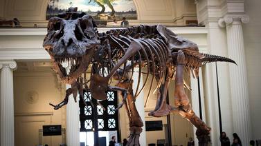 Encuentran al titanosaurio más antiguo,  en la Patagonia Argentina