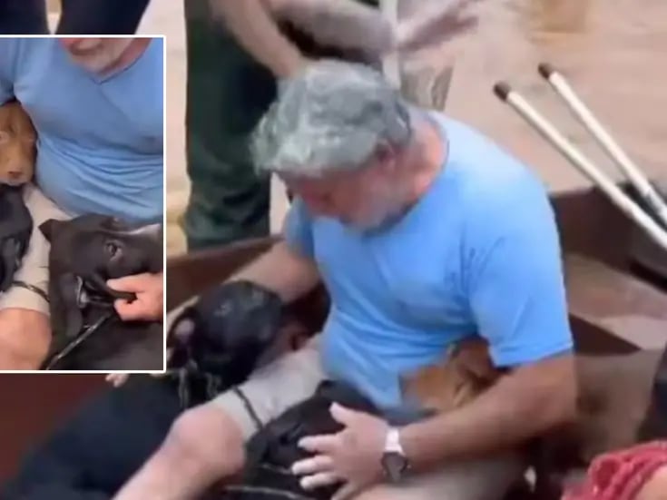 Hombre arriesga su vida para salvar a sus perritos de las inundaciones en Brasil
