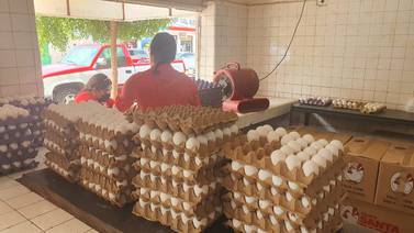 Producción y exportaciones mantienen precio del huevo en Sonora