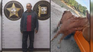 Detienen a hombre por abusar de una yegua en Hermosillo