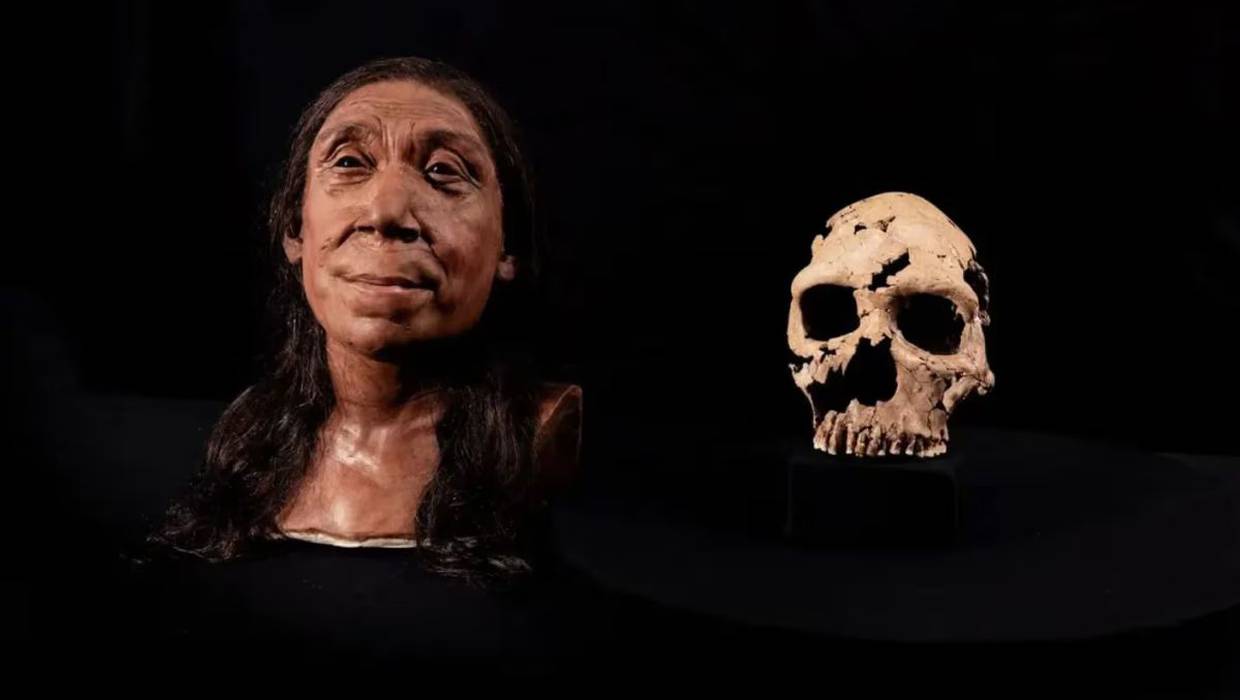 ¡Científicos reconstruyen el cráneo de una mujer neandertal que vivió en la Tierra hace unos 75 mil años!