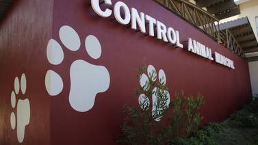Ofrece municipio esterilizaciones gratuitas para perros