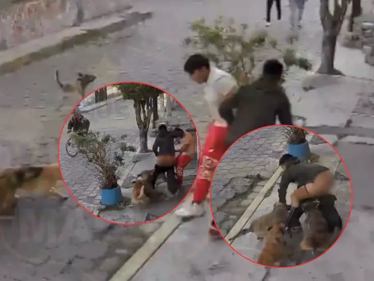 VIDEO: Jauría de perros ataca ferozmente a jóvenes en Metepec; a uno de ellos le arrancan la ropa