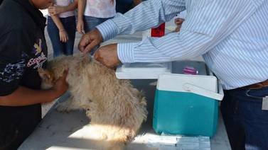 Hermosillo: Invitan a jornada de salud animal en colonia Café Combate