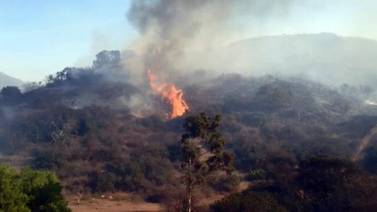 Afecta incendio forestal 50 viviendas en Tijuana