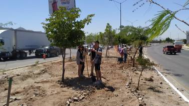 Estudiantes de Arizona y Sonora crean infraestructura verde