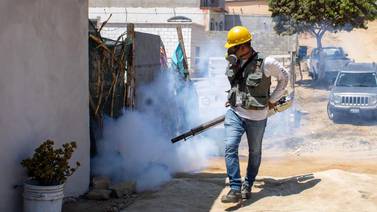 Atienden casos de dengue autóctono en San Felipe