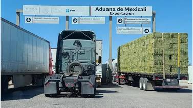 Concentran Mexicali y Tijuana el 25% de las pérdidas totales en el país por fallo en sistema aduanero