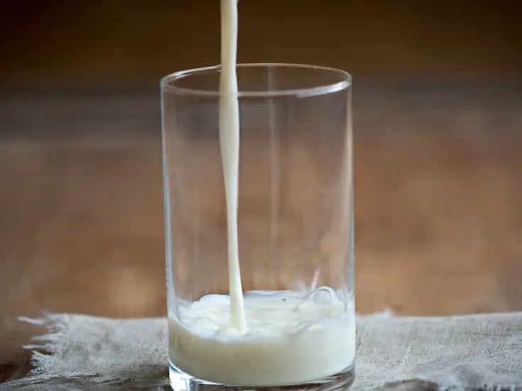 Nuevo estudio sugiere que la leche podría ser clave para prevenir el envejecimiento del cerebro