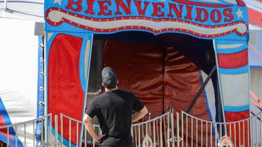 Analizan acciones encaso de apertura de circo