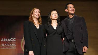 Anuncian nominaciones a los Premio Ariel; 'Noche de fuego' lidera con 19