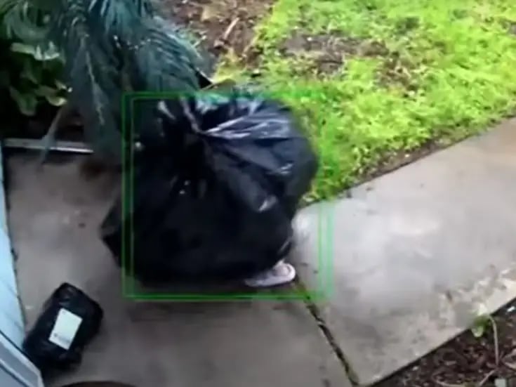 Video Viral: Ladrón se disfraza de bolsa de basura para adueñarse de paquetería