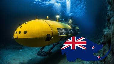 Descubren biodiversidad submarina sin precedentes en Nueva Zelanda