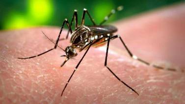 Confirma Salud 245 casos de zika en tres años, en Sonora