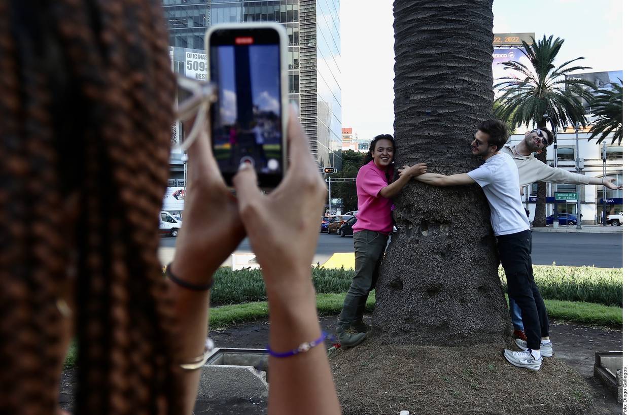 Jóvenes abrazan la palmera de la Glorieta de la Palma, que luego fue retirada; señalan que la falta de árboles ha contribuido a que cada vez se sienta más calor en la CDMX.