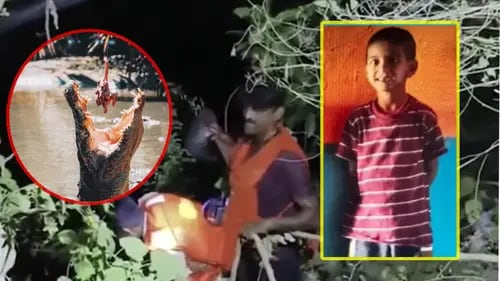 VIDEO: Niño arrojado a los cocodrilos; madre culpa a su esposo