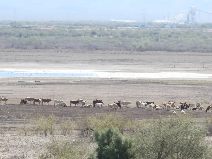 Se viven momentos difíciles en Sonora por la falta de agua: Productores