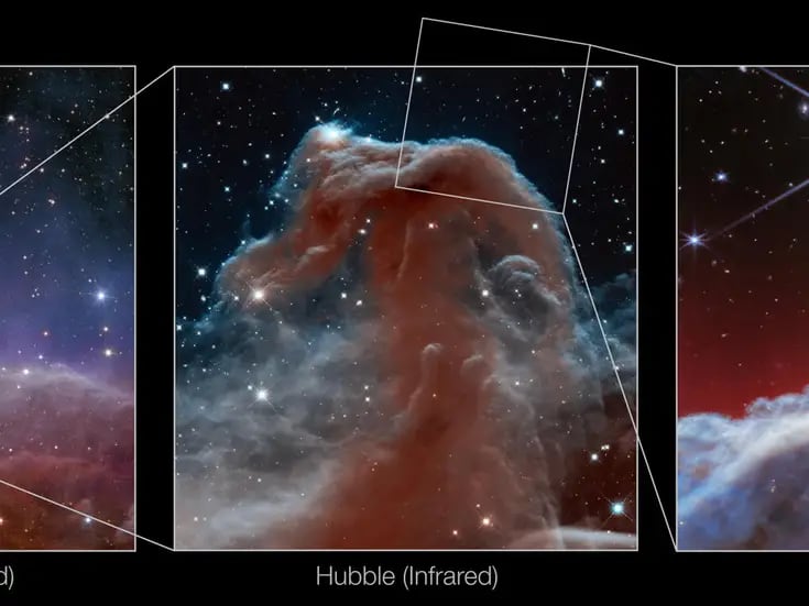 Telescopio James Webb capta  nebulosa ‘Cabeza de Caballo’ con nivel de detalle nunca antes visto