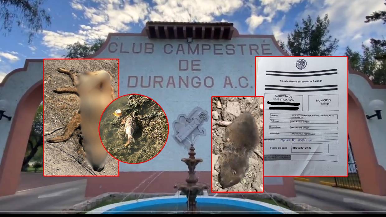 El Club Campestre fue formalmente denunciado por el envenenamiento de animales en sus alredededores.