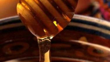 Van apicultores por cuarta cosecha de miel