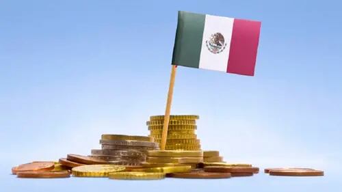 Tally y ProChile México unen fuerzas para impulsar el emprendimiento transnacional