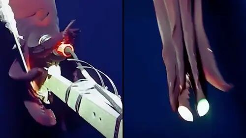 VIDEO muestra a extraña criatura atacando cámara en profundidades marinas
