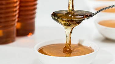 La miel un tesoro repleto de beneficios para la salud y el bienestar