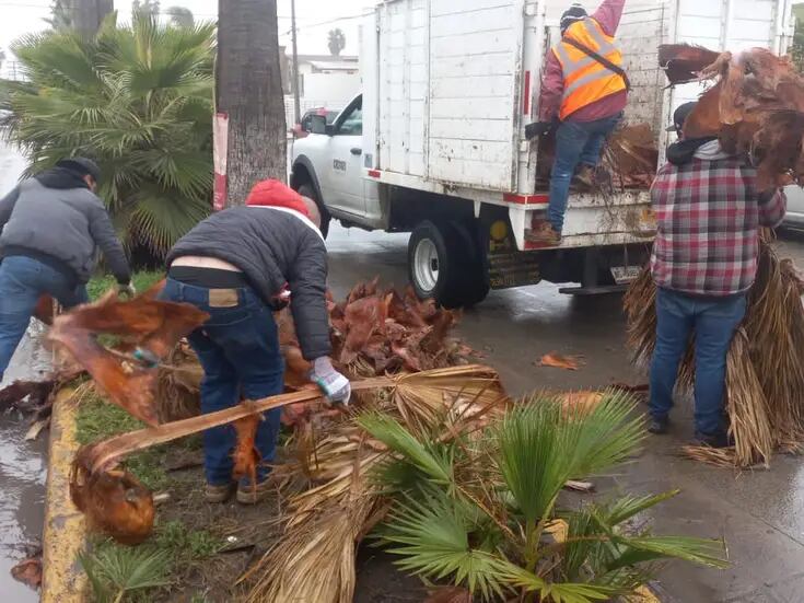 Atendió Gobierno de Ensenada 32 incidentes por lluvias: Armando Ayala