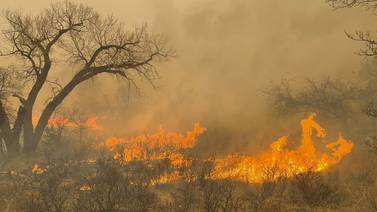 Factores climáticos amenazan la intensificación del mayor incendio en la historia de Texas