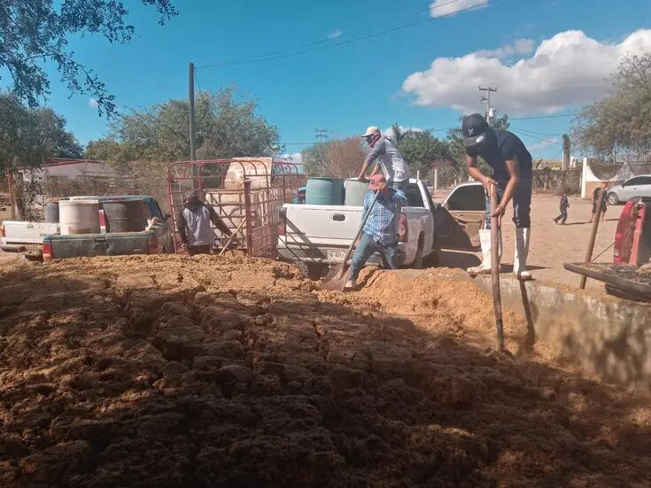 Apoyan a ganaderos del Sur de Sonora con bagazo