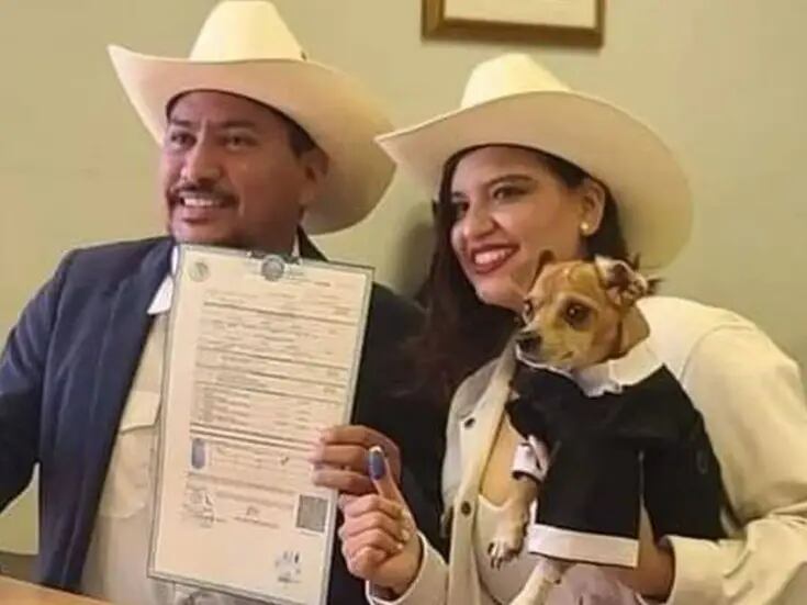 Perrito chihuahua “firma” como testigo en boda de sus dueños